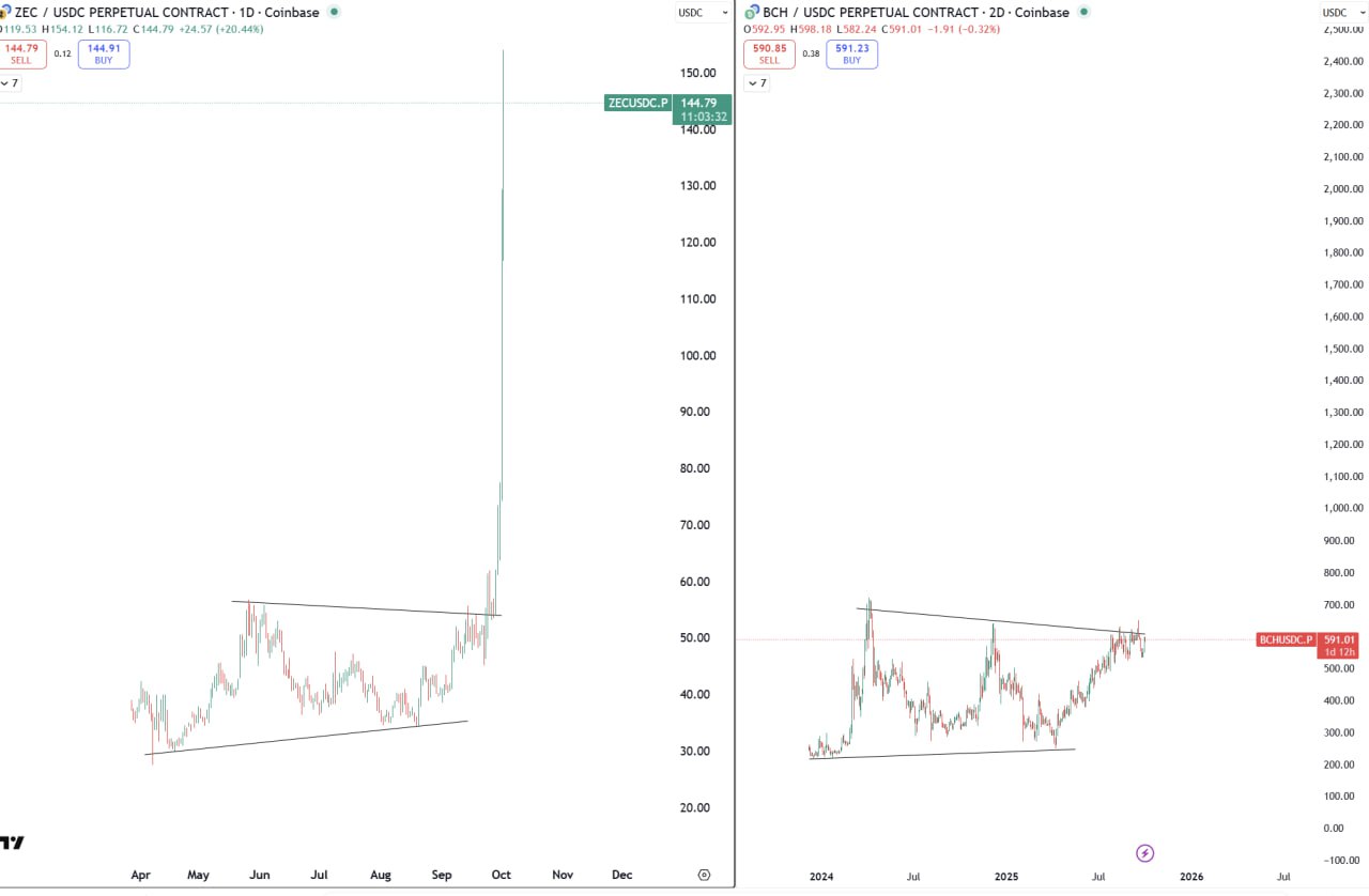 Be patient - Q4/2024, Rose gave you DOGE trade at exactly breakout point before It did 4x 1 month later that, Rose gave you XRP trade at exactly breakout point before It did 4x