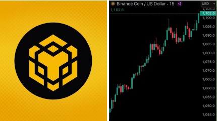 JUST IN: $BNB reaches new ATH of $1,100