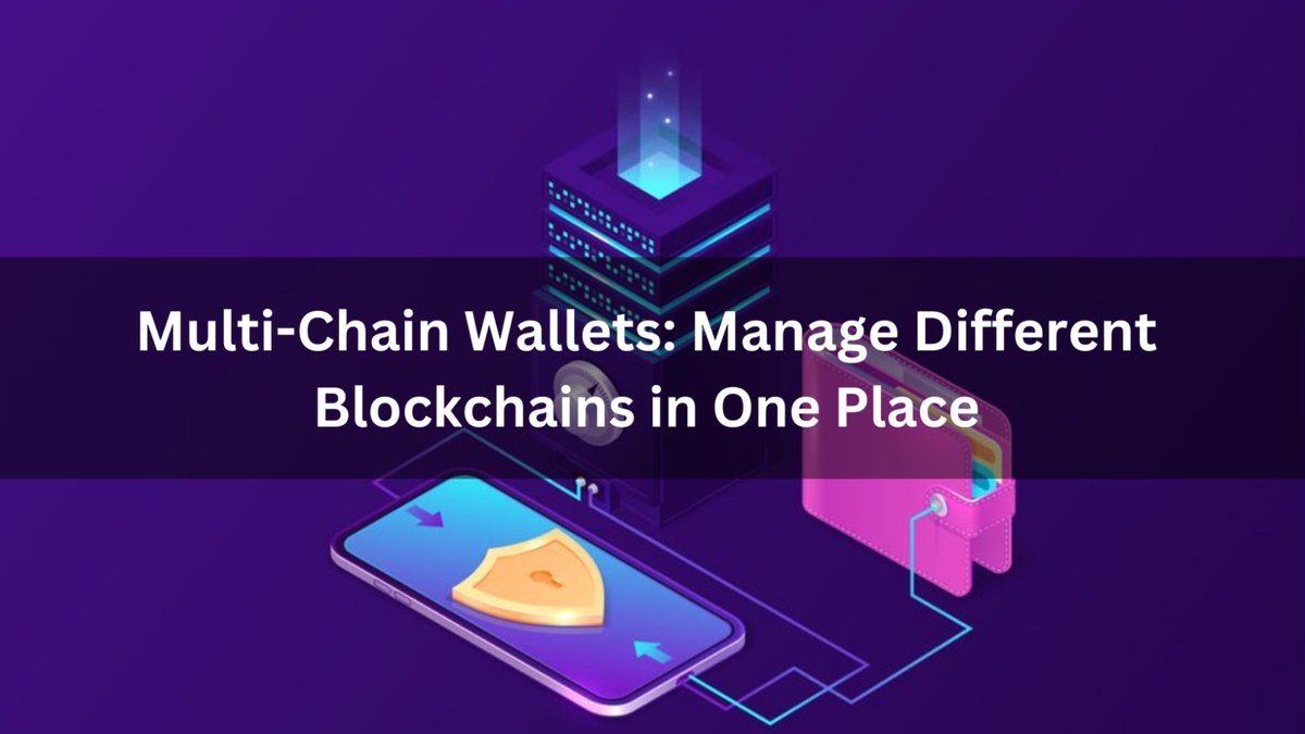 Best Multi-Chain Wallets