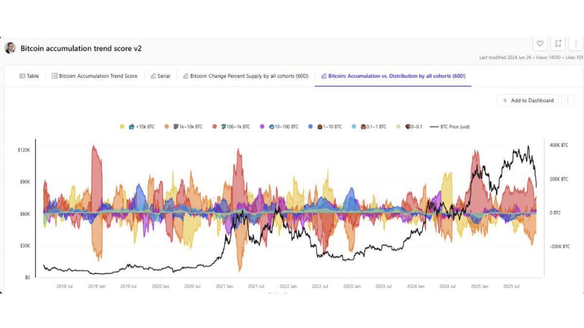Has Bitcoin Bottomed? What Whale Accumulation Says – and What It Does Not