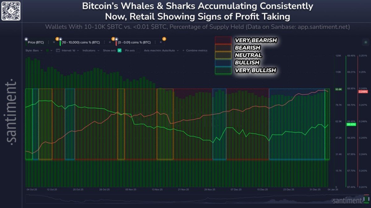 Whales Accumulate, Retail Sells: Why This Pattern Matters—and Why It’s Not a “Guaranteed Bottom”