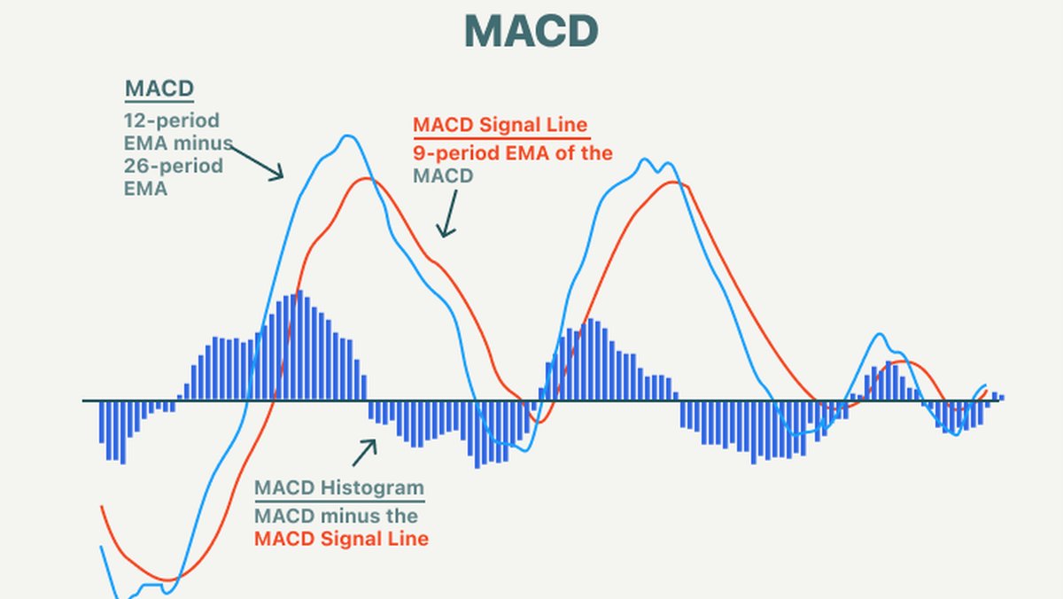 MACD Indicator Explained: Settings, Signals and Practical Use in Technical Analysis