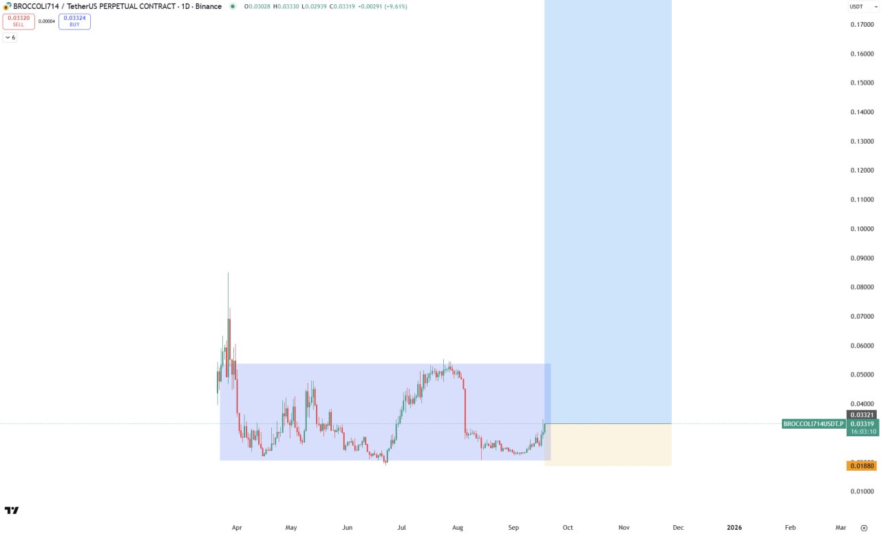 BROCCOLI714/USDT.P