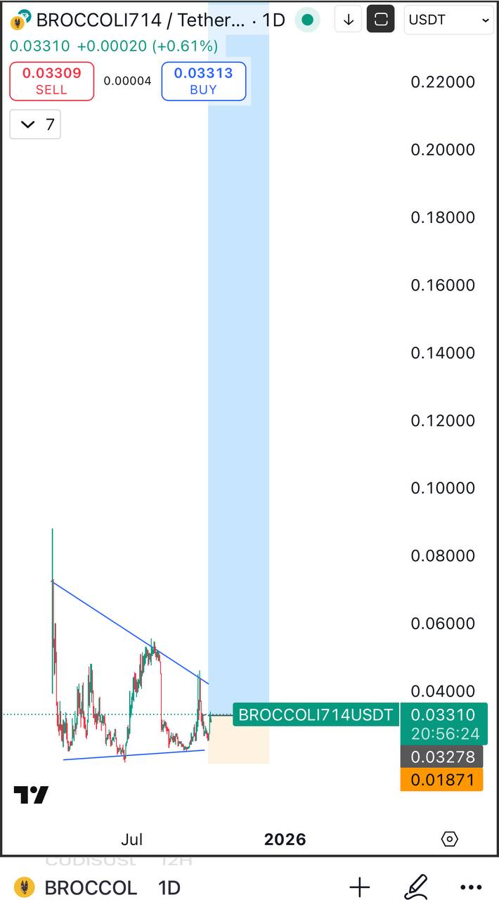 BROCCOLI714/USDT