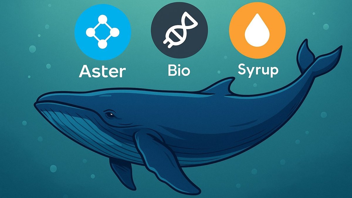 After the Early-November Shock, Whales Circle Three Names: Aster, Bio Protocol, and Syrup (Corrected & Deep-Dive Analysis)