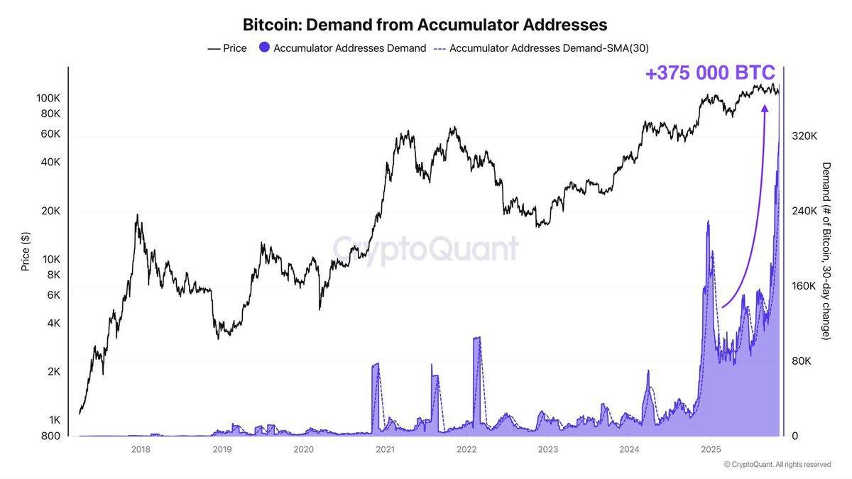 When Quiet Hands Get Loud: Record Accumulator Addresses Absorb ~375,000 BTC in 30 Days